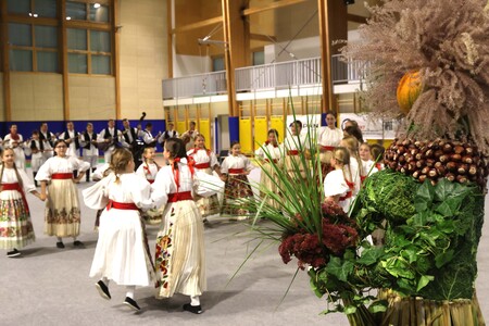 12 MEDNARODNI FOLKLORNI FESTIVAL 18 FOTO LJUBO VUKELIČ